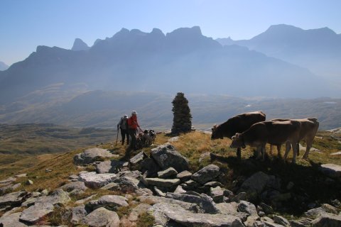 sBernardino_13082026-95