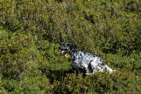 DSCF7520-copia