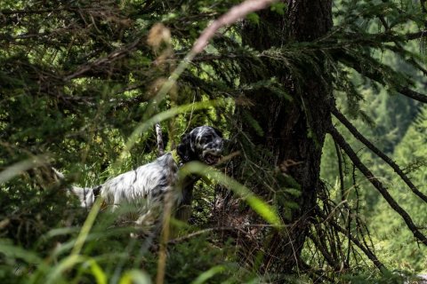 DSCF8232-copia1b