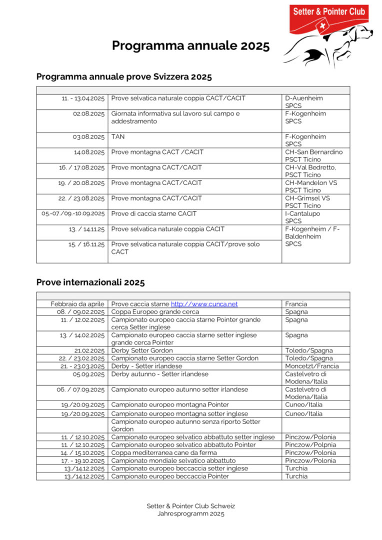 thumbnail of 2025 Jahresprogramm IT