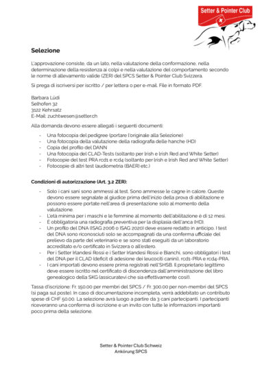 thumbnail of Ankörung SPCS IT