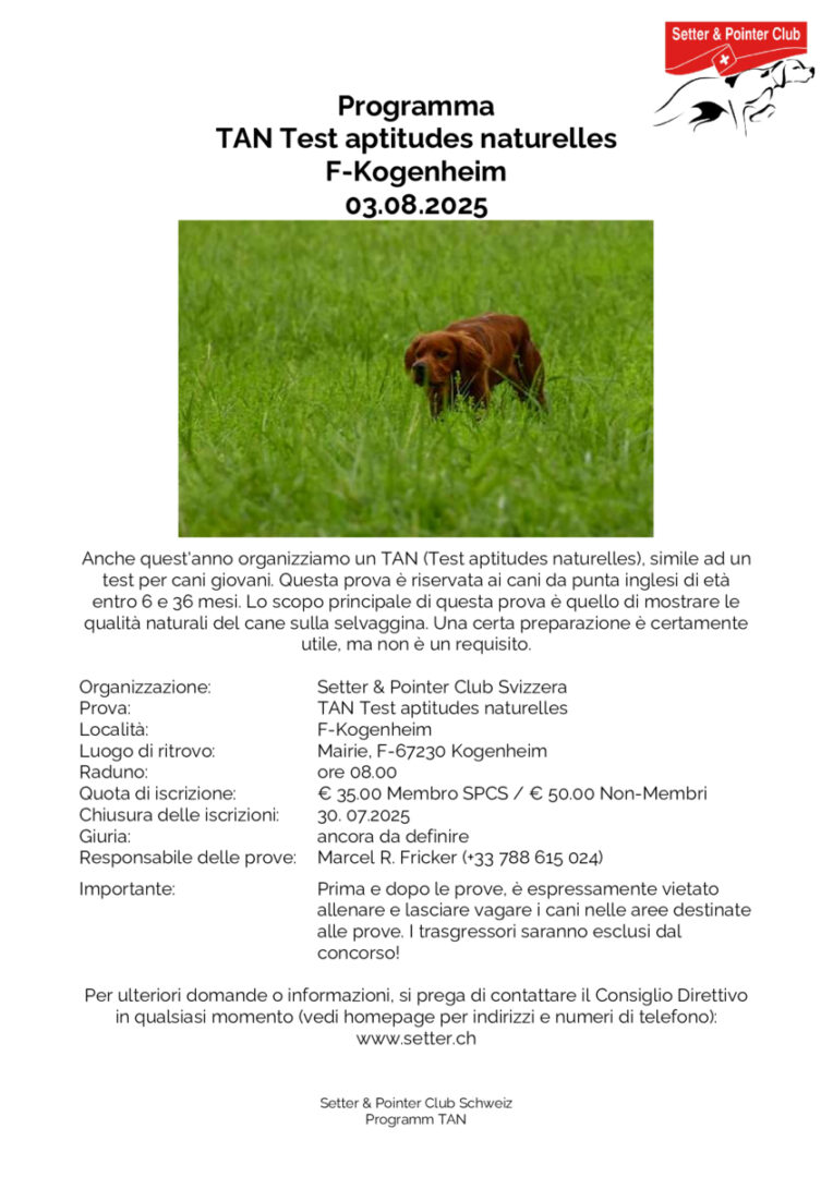 thumbnail of Programm TAN 2025 IT