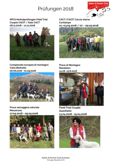 thumbnail of Prüfungen 2018