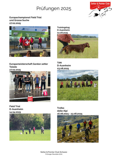 thumbnail of Prüfungen 2025